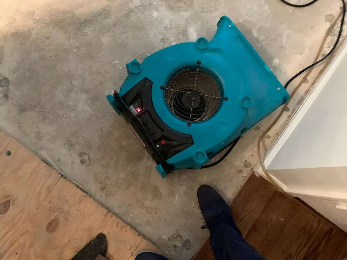 Air mover drying subfloor during Leak Detection & Repair in Darien