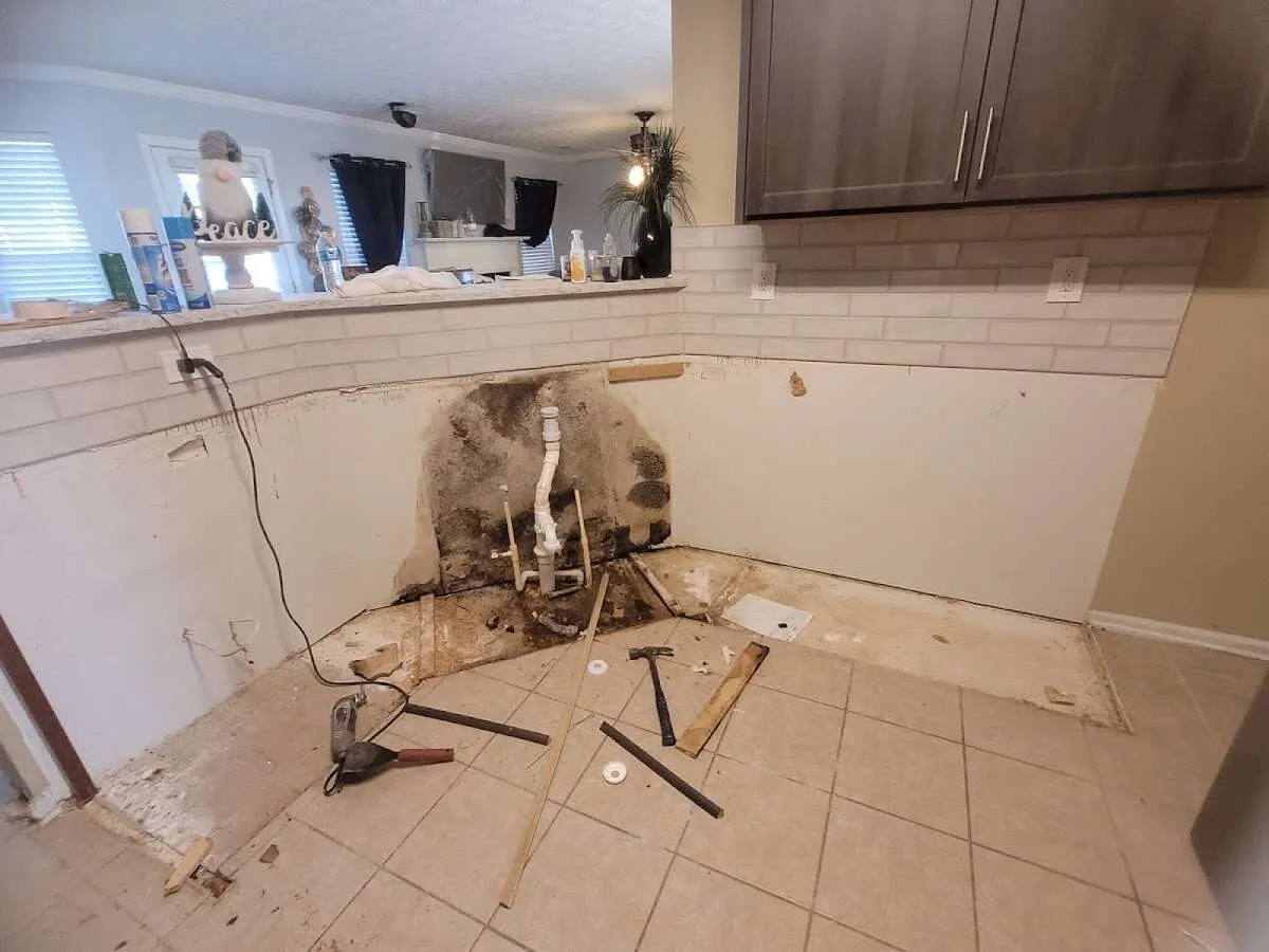 Mold behind wall with plumbing during Flood Damage Cleanup in Darien